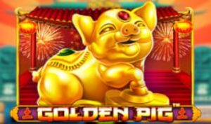 Demo Slot Online Golden Pig Dari Provider Pragmatic Play
